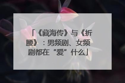 《藏海传》与《折腰》：男频剧、女频剧都在“爱”什么