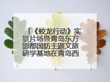 《蛟龙行动》实景片场暨青岛东方影都国防主题文旅研学基地在青岛西海岸新区开业