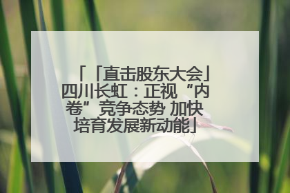 「直击股东大会」四川长虹：正视“内卷”竞争态势 加快培育发展新动能