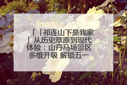 「祁连山下是我家」从历史草原到现代体验：山丹马场景区多维升级 解锁五一文旅新玩法
