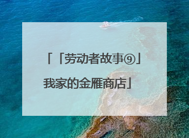 「劳动者故事⑨」我家的金雁商店