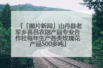 「图片新闻」山丹县老军乡蕃昌农副产品专业合作社每年生产各类玫瑰花产品500多吨