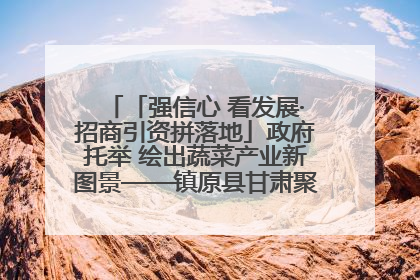 「强信心 看发展·招商引资拼落地」政府托举 绘出蔬菜产业新图景——镇原县甘肃聚广利现代设施蔬菜种植基地见闻