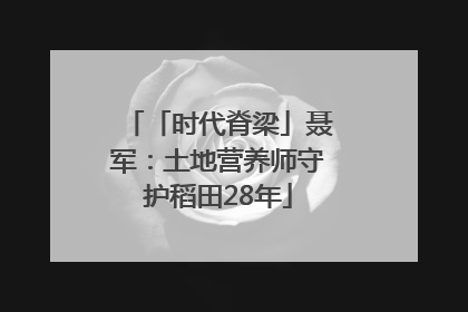 「时代脊梁」聂军：土地营养师守护稻田28年