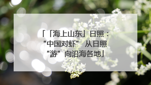 「海上山东」日照：“中国对虾” 从日照“游”向沿海各地