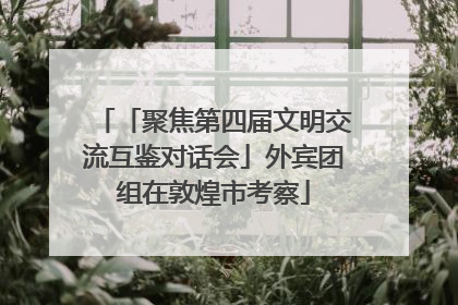 「聚焦第四届文明交流互鉴对话会」外宾团组在敦煌市考察