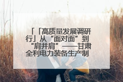 「高质量发展调研行」从“面对面”到“肩并肩”——甘肃全利电力装备生产制造项目一线见闻