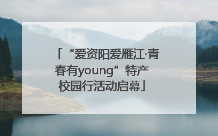 “爱资阳爱雁江·青春有young”特产校园行活动启幕