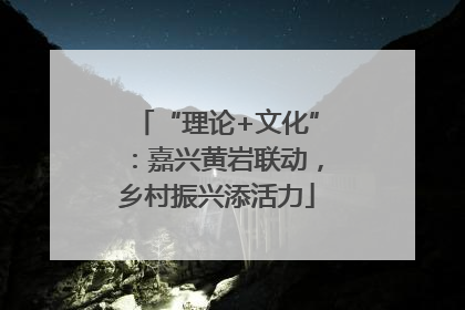 “理论+文化”：嘉兴黄岩联动，乡村振兴添活力