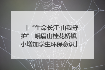 “生命长江·由我守护” 峨眉山桂花桥镇小增加学生环保意识