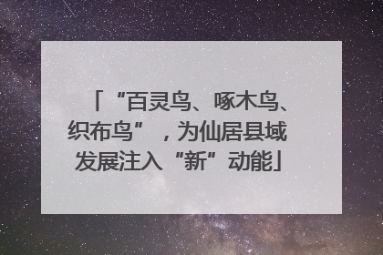 “百灵鸟、啄木鸟、织布鸟”，为仙居县域发展注入“新”动能