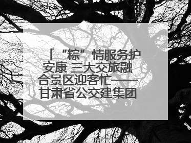 “粽”情服务护安康 三大交旅融合景区迎客忙——甘肃省公交建集团全力做好端午假期景区运营工作