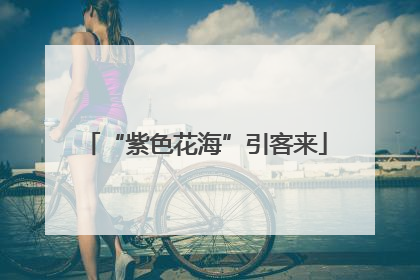 “紫色花海”引客来