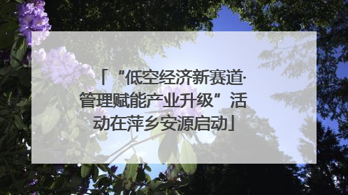 “低空经济新赛道·管理赋能产业升级”活动在萍乡安源启动