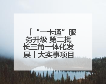 “一卡通”服务升级 第二批长三角一体化发展十大实事项目发布