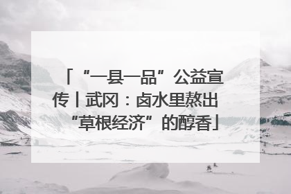 “一县一品”公益宣传丨武冈：卤水里熬出“草根经济”的醇香