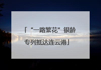 “一路繁花”银龄专列抵达连云港