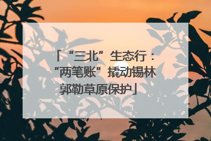 “三北”生态行：“两笔账”撬动锡林郭勒草原保护