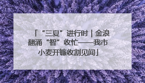 “三夏”进行时｜金浪翻涌“智”收忙——我市小麦开镰收割见闻