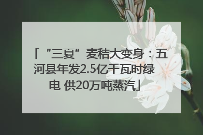 “三夏”麦秸大变身：五河县年发2.5亿千瓦时绿电 供20万吨蒸汽
