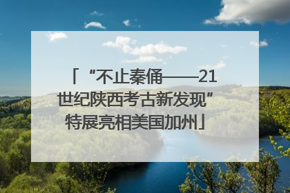 “不止秦俑——21世纪陕西考古新发现”特展亮相美国加州