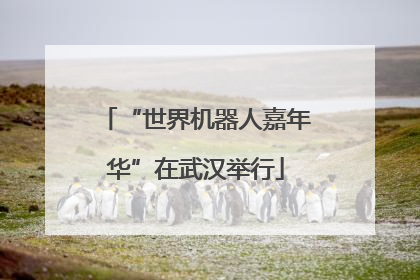 “世界机器人嘉年华”在武汉举行