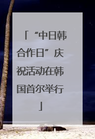 “中日韩合作日”庆祝活动在韩国首尔举行