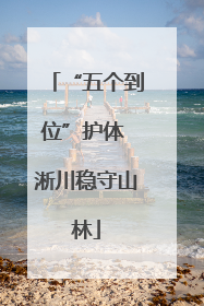“五个到位”护体 淅川稳守山林