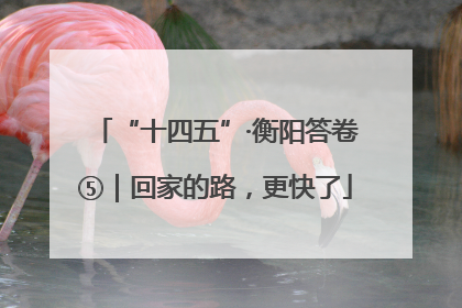 “十四五”·衡阳答卷⑤｜回家的路，更快了