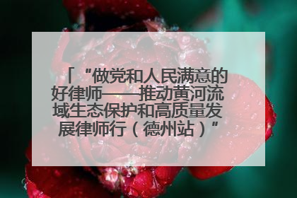 “做党和人民满意的好律师——推动黄河流域生态保护和高质量发展律师行（德州站）”活动成功举办
