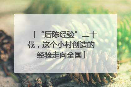 “后陈经验”二十载，这个小村创造的经验走向全国