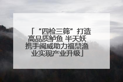“四检三筛”打造高品质鲈鱼 半天妖携手闽威助力福鼎渔业实现产业升级
