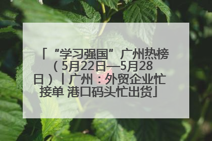 “学习强国”广州热榜（5月22日—5月28日）丨广州：外贸企业忙接单 港口码头忙出货