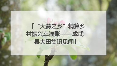 “大蒜之乡”精算乡村振兴幸福账——成武县大田集镇见闻