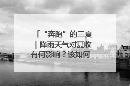 “奔跑”的三夏｜降雨天气对夏收有何影响？该如何防范？一文了解