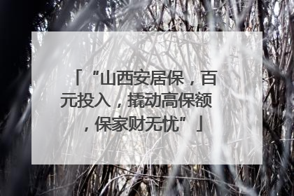“山西安居保，百元投入，撬动高保额，保家财无忧”
