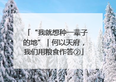 “我就想种一辈子的地”｜何以天府，我们用粮食作答②