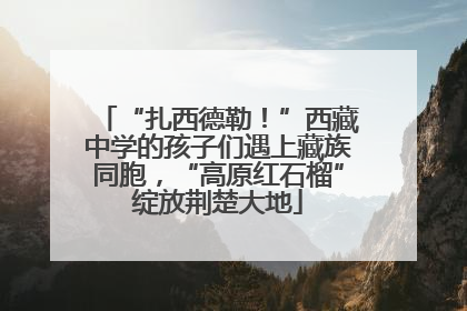 “扎西德勒！”西藏中学的孩子们遇上藏族同胞，“高原红石榴”绽放荆楚大地