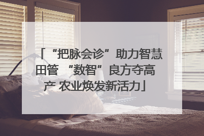 “把脉会诊”助力智慧田管 “数智”良方夺高产 农业焕发新活力