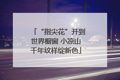“指尖花”开到世界橱窗 小凉山千年纹样绽新色