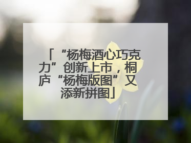“杨梅酒心巧克力”创新上市，桐庐“杨梅版图”又添新拼图