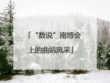 “数说”南博会上的曲靖风采