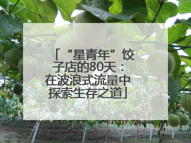 “星青年”饺子店的80天：在波浪式流量中探索生存之道