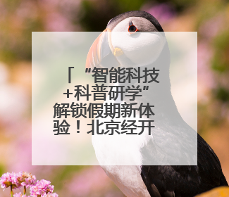 “智能科技+科普研学”解锁假期新体验！北京经开区工业科技旅游热度攀升