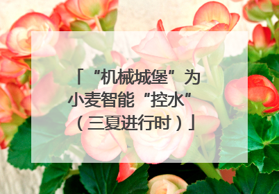 “机械城堡”为小麦智能“控水”（三夏进行时）