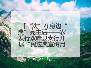 “法”在身边“典”亮生活——农发行双峰县支行开展“民法典宣传月”活动