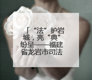“法”护岩城，亮“典”纷呈——福建省龙岩市司法局民法典宣传月普法活动纪实