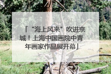 “海上风来”吹进京城！上海中国画院中青年画家作品展开幕