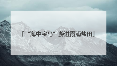 “海中宝马”游进霞浦盐田