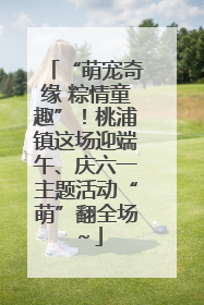 “萌宠奇缘 粽情童趣”！桃浦镇这场迎端午、庆六一主题活动“萌”翻全场～